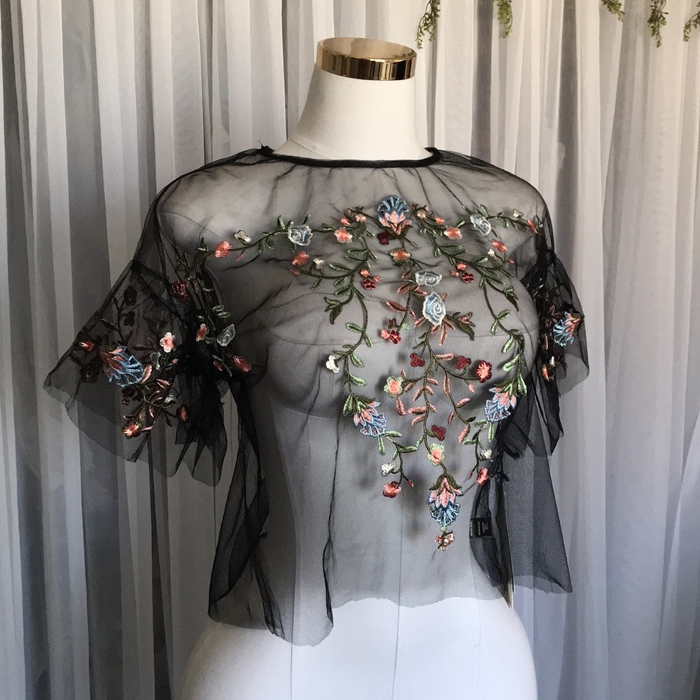 Embroidered Black Sheer Top - Picture 3 of 5